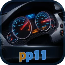 pp11